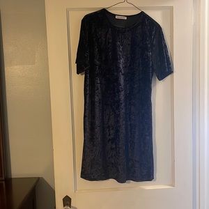 Velvet Dress